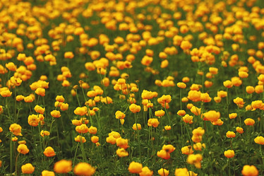 Similar image 10574330