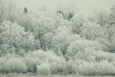 Similar image 10574390