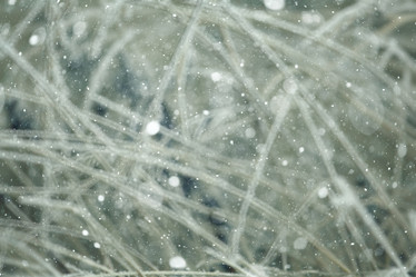 Similar image 10574392