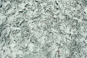 Similar image 10574398