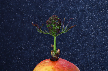 Similar image 10574399