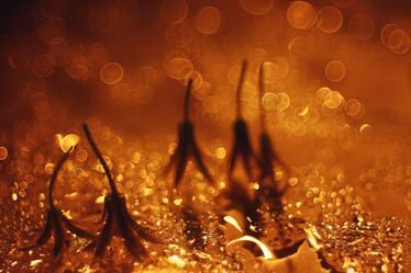 Similar image 10574401