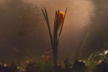 Similar image 10574468