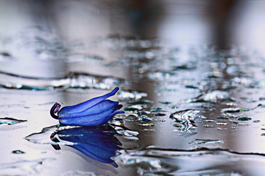 Similar image 10574471