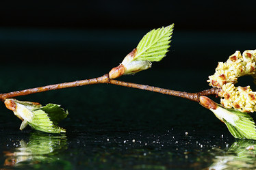 Similar image 10574473