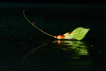 Similar image 10574475