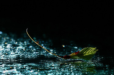 Similar image 10574476