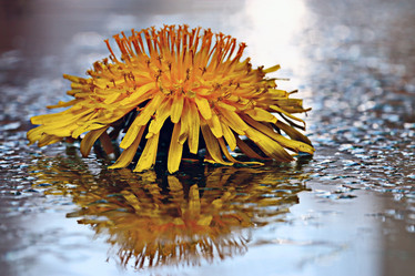 Similar image 10574483