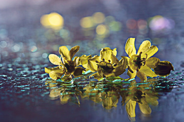 Similar image 10574484