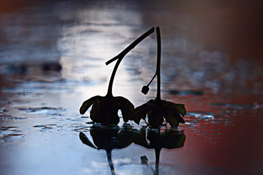 Similar image 10574485