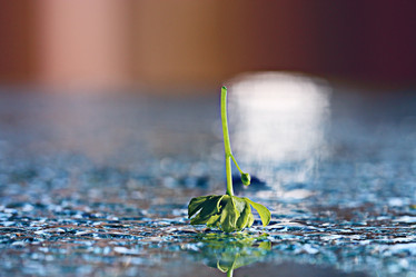 Similar image 10574486