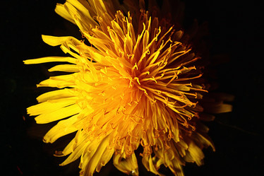 Similar image 10574488