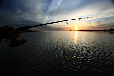 Similar image 10574585