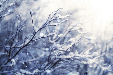 Similar image 10574677