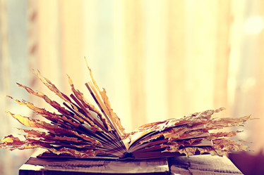 Similar image 10574679