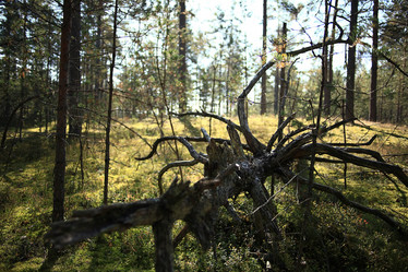 Similar image 10574682