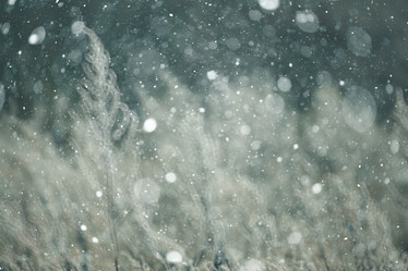 Similar image 10574802