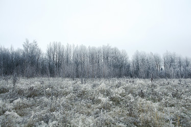 Similar image 10574810