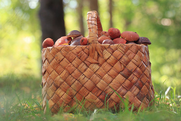 Similar image 10574816