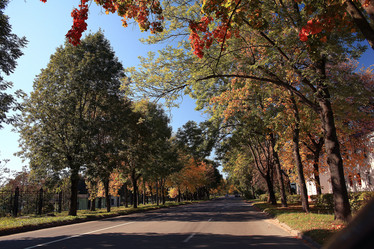 Similar image 10576585