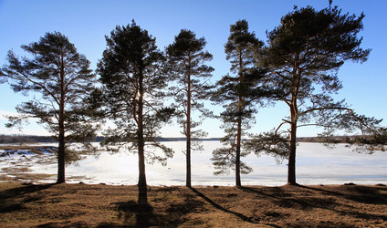 Similar image 10576684