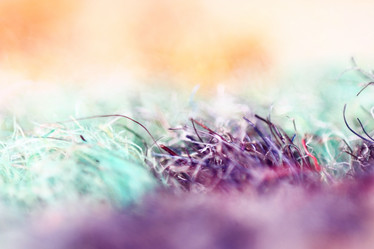 Similar image 10576691