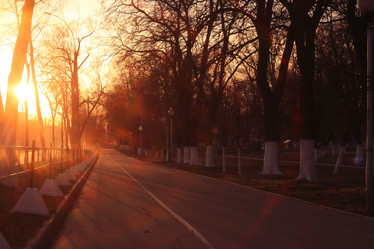 Similar image 10576698