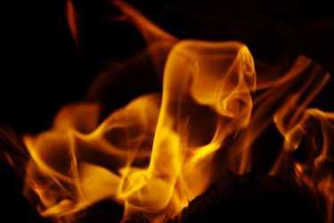 Similar image 10576720