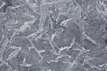 Similar image 10576735