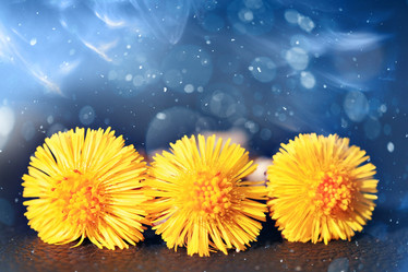 Similar image 10576737