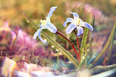 Similar image 10576738