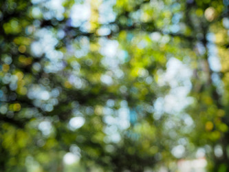 Similar image 10576775