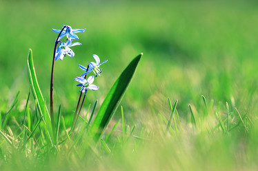 Similar image 10576781