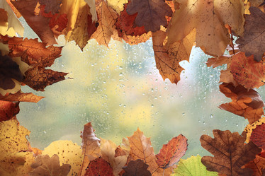 Similar image 10576842