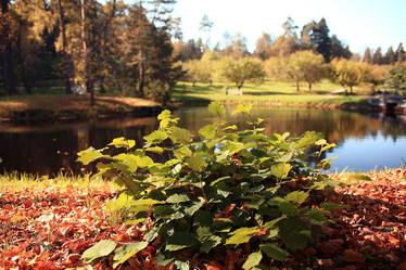 Similar image 10577188