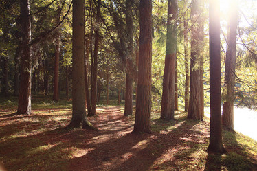 Similar image 10577192