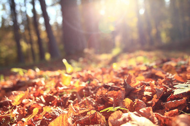 Similar image 10577194