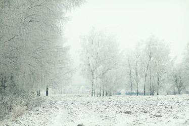 Similar image 10577206