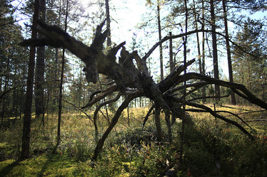 Similar image 10577209