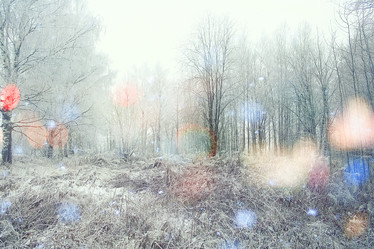 Similar image 10577211