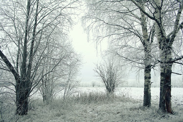 Similar image 10577213