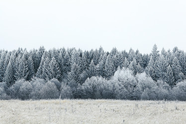 Similar image 10577215