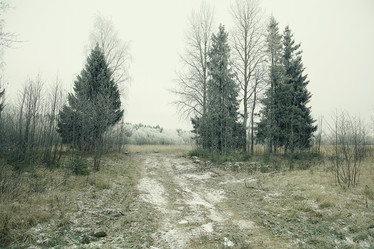 Similar image 10577246