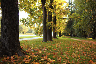 Similar image 10577251