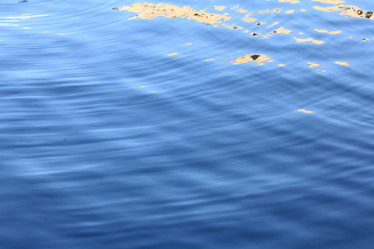 Similar image 10577268