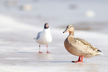 Similar image 10577295