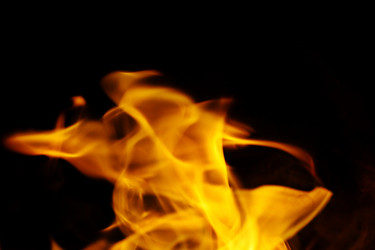 Similar image 10577302