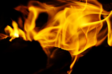 Similar image 10577304