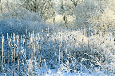 Similar image 10577338