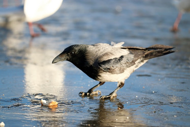 Similar image 10577343